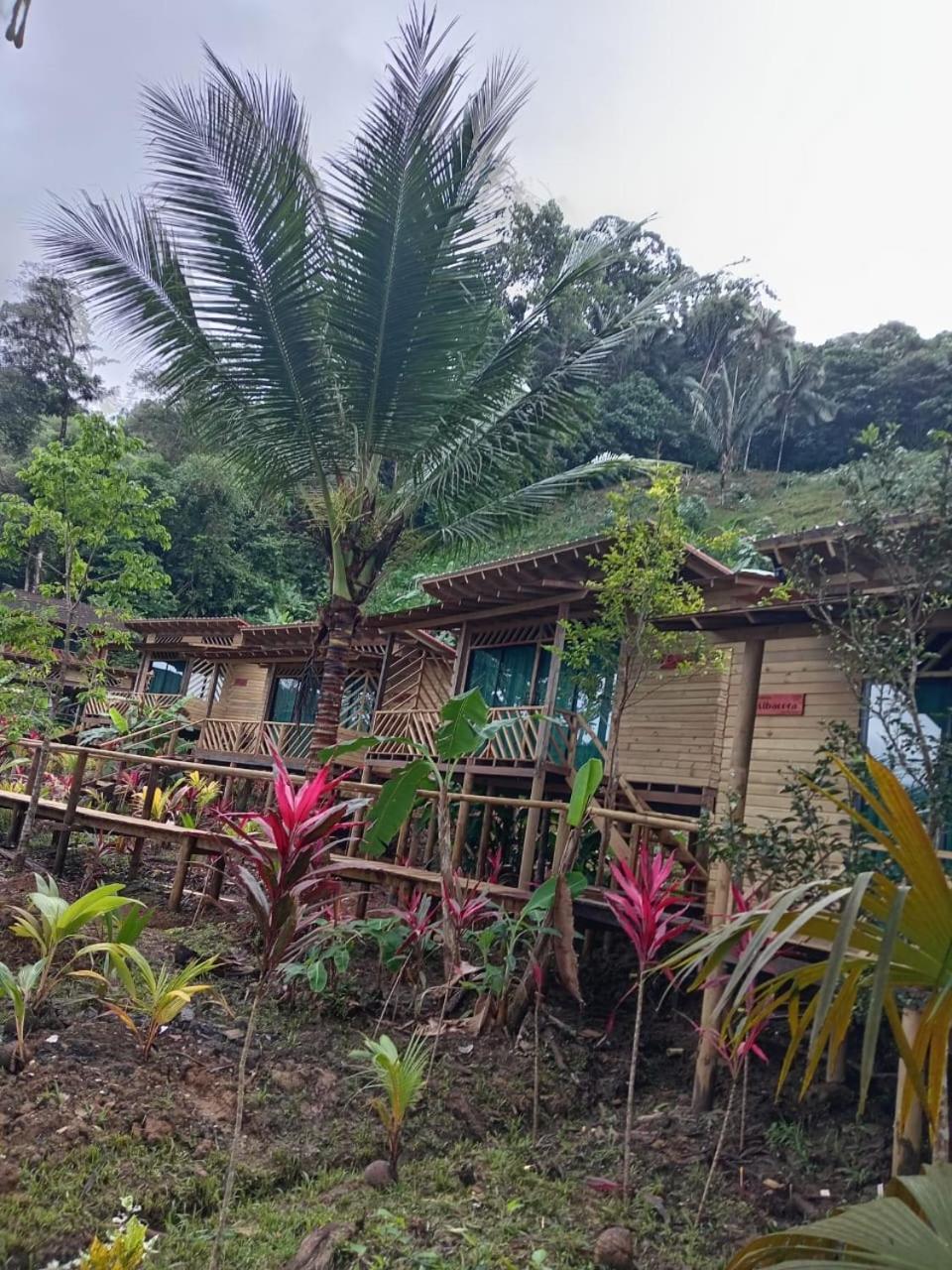 Pacific Nuqui Lodge Exteriér fotografie